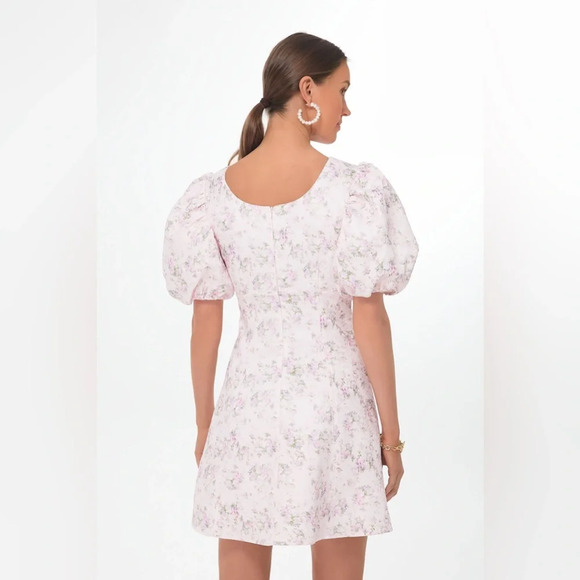 NWT Tuckernuck HYACINTH HOUSE Pink Jacquard Empire Ella Mini Dress Medium - Picture 5 of 9